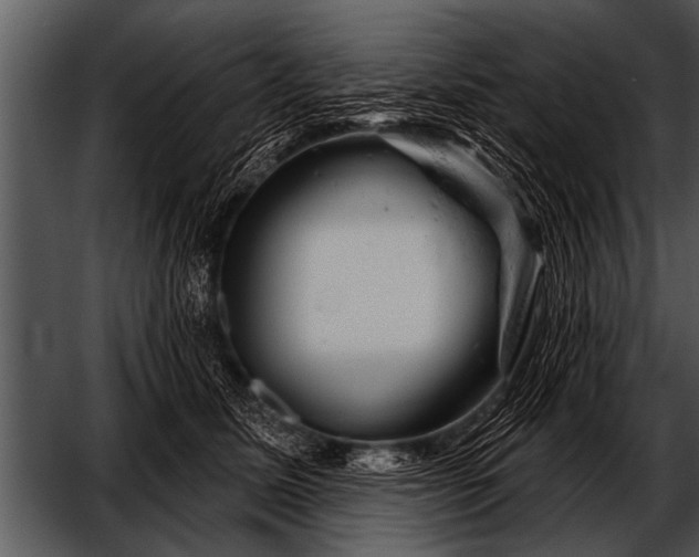 X0000052640611200507160158