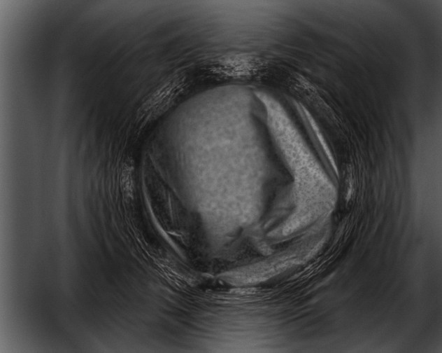 X0000052640612200507160158