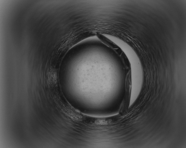 X0000052640613200507160158