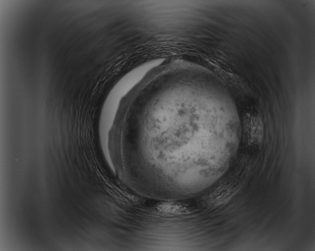 X0000052640614200507160158