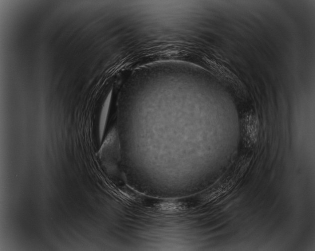 X0000052640615200507160158