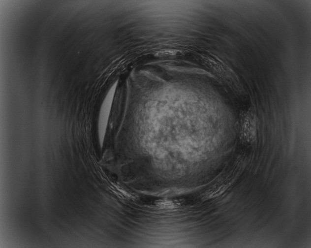 X0000052640616200507160158