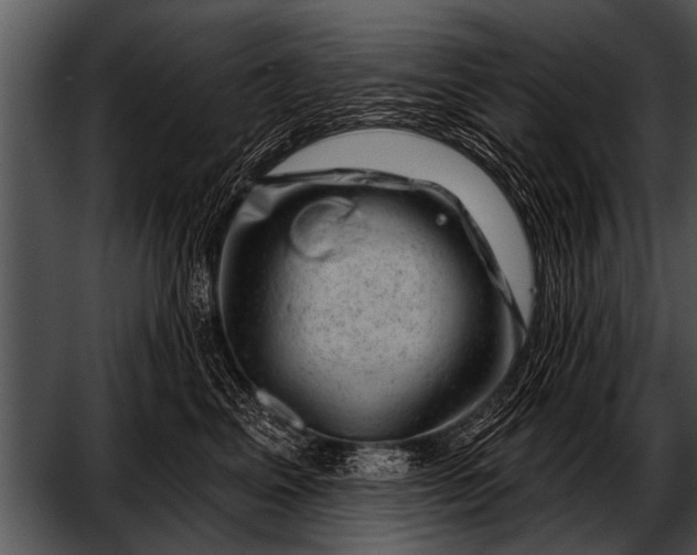 X0000052640617200507160158