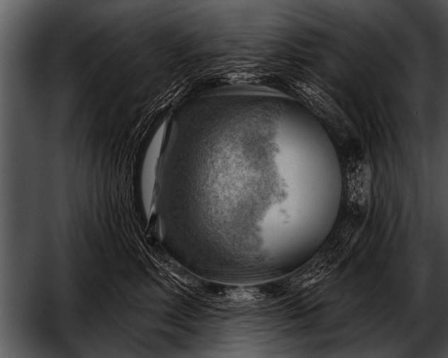 X0000052640618200507160158