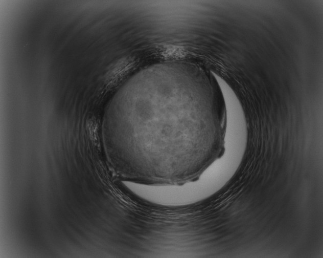 X0000052640619200507160158