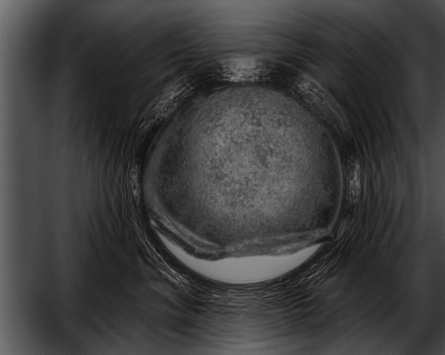 X0000052640620200507160158