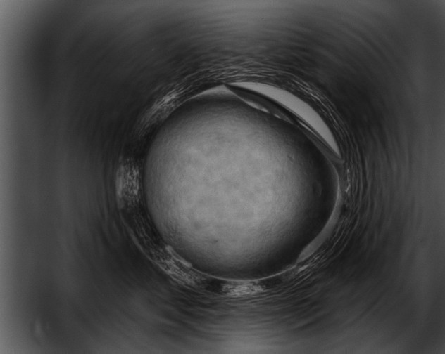 X0000052640621200507160158