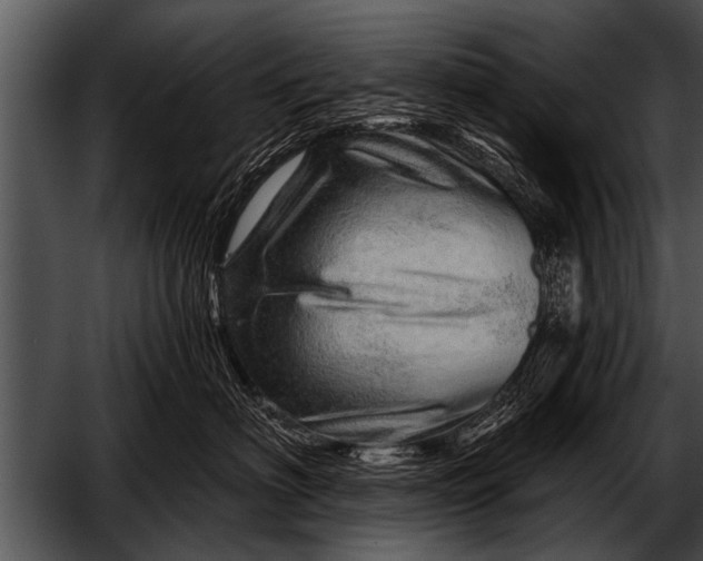 X0000052640622200507160158