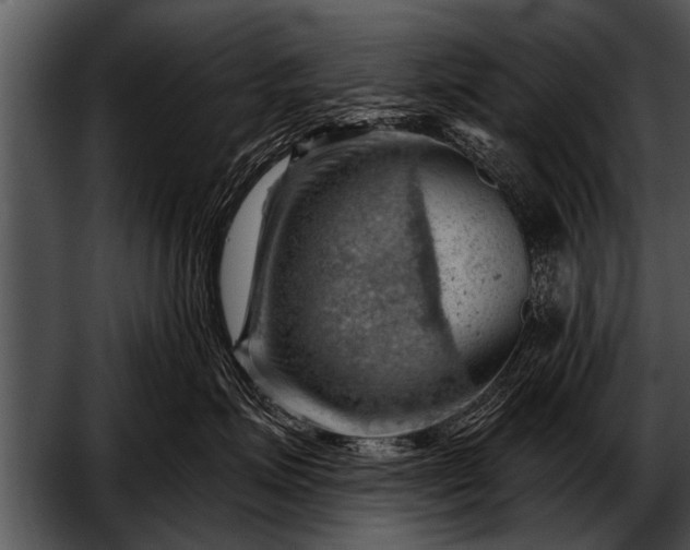 X0000052640623200507160158