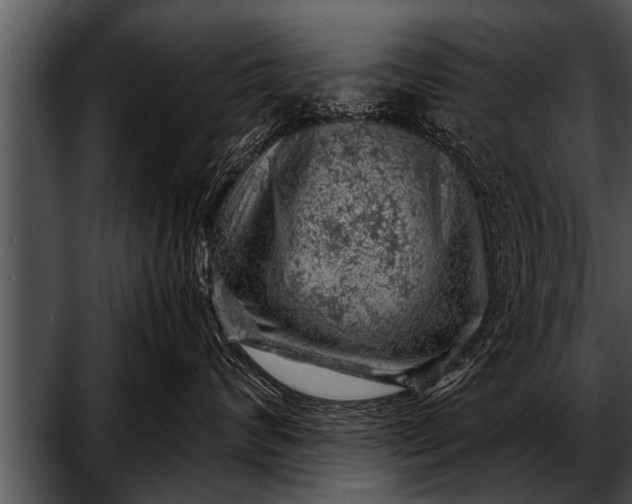 X0000052640624200507160158