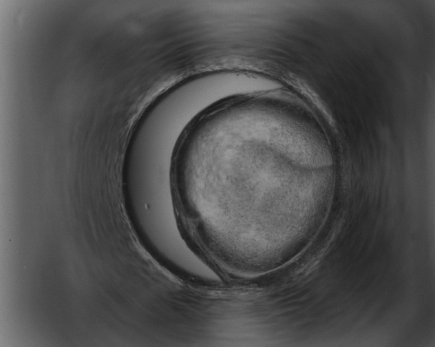 X0000052640625200507160157