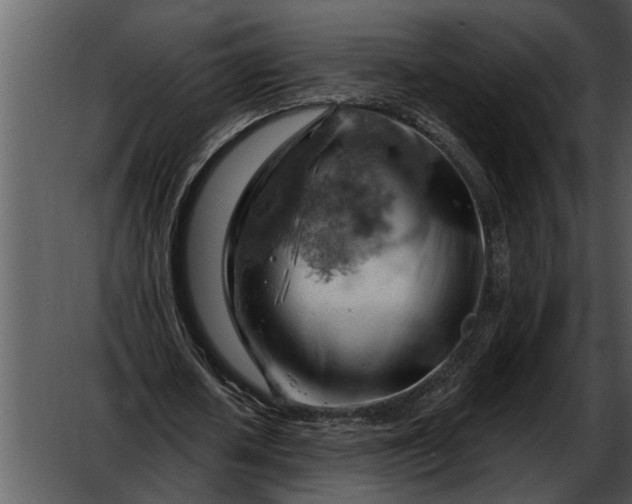 X0000052640626200507160157