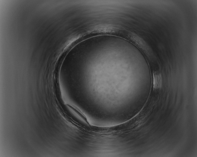 X0000052640627200507160157