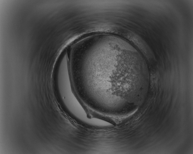 X0000052640628200507160157