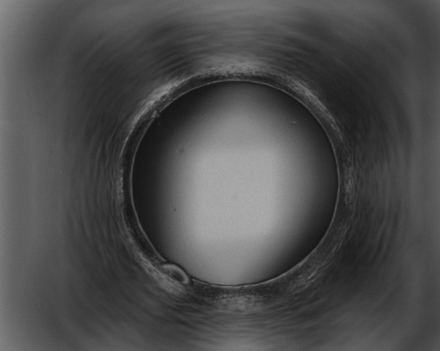 X0000052640629200507160157