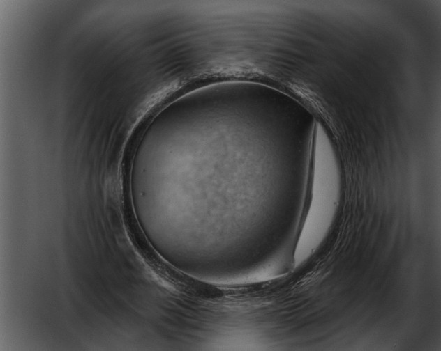 X0000052640630200507160157