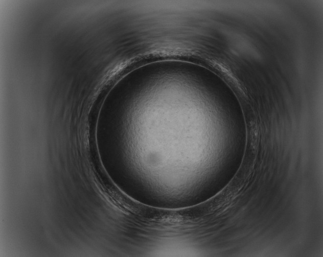 X0000052640631200507160157