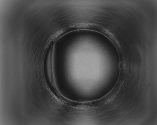 X0000052640633200507160158