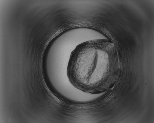 X0000052640634200507160158