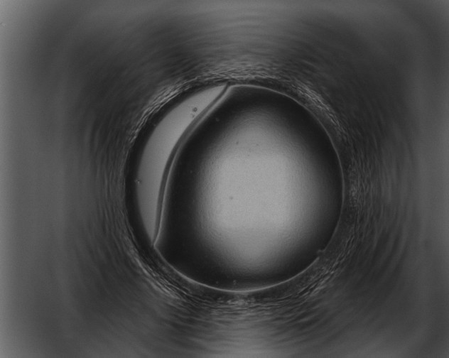 X0000052640635200507160158