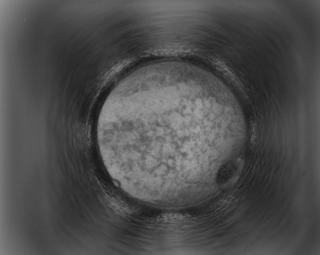 X0000052640636200507160158