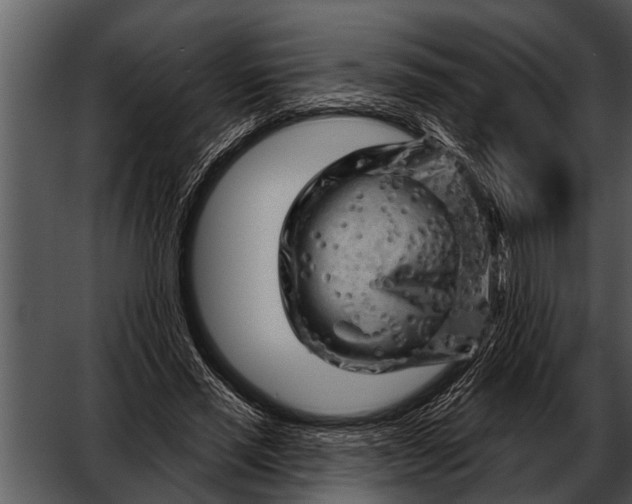 X0000052640637200507160158