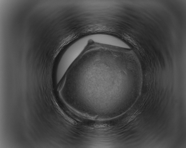 X0000052640638200507160158