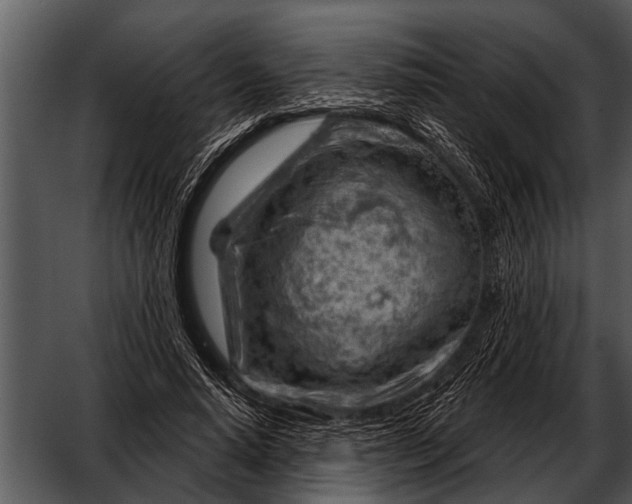 X0000052640640200507160158