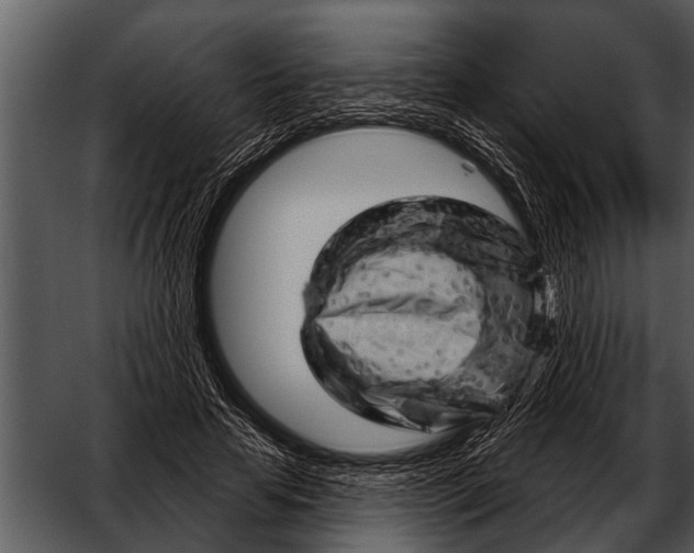 X0000052640641200507160158