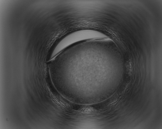 X0000052640642200507160158