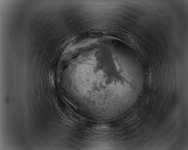 X0000052640643200507160158