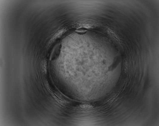 X0000052640644200507160158