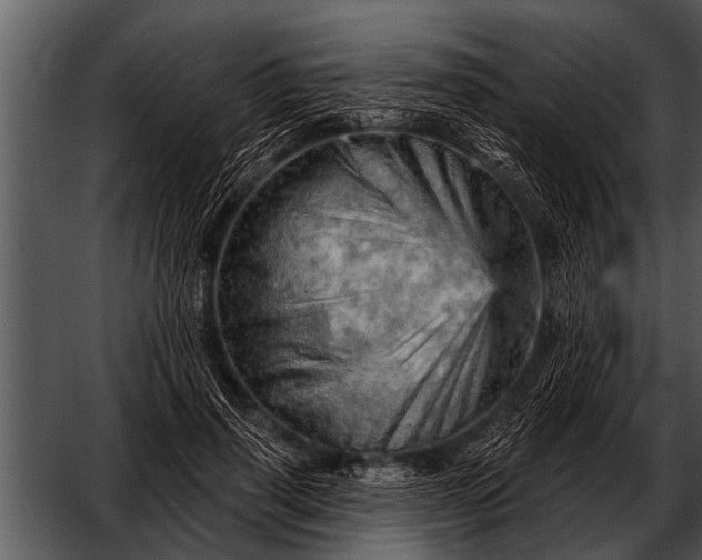 X0000052640645200507160158