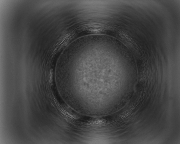 X0000052640646200507160158