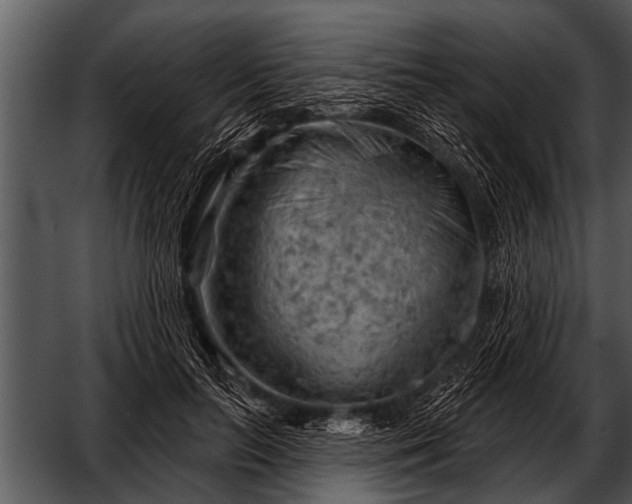 X0000052640647200507160158