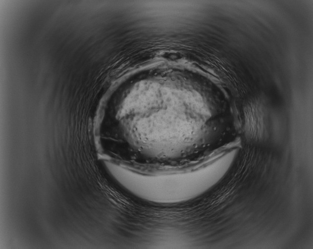 X0000052640649200507160158