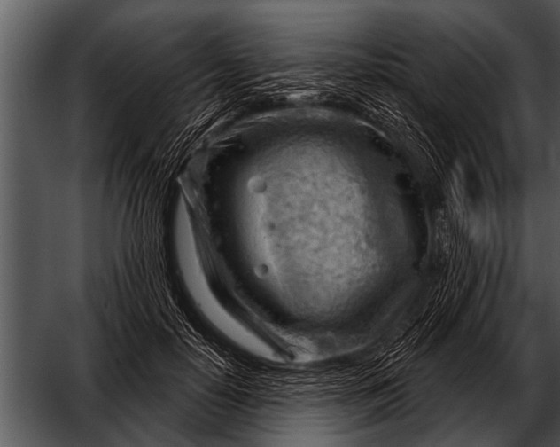 X0000052640650200507160158