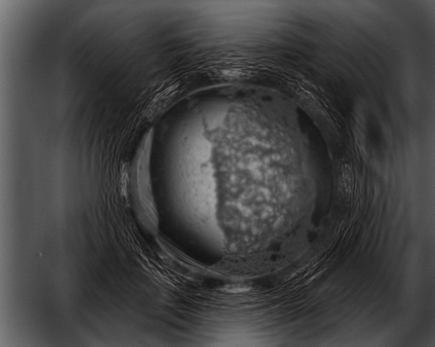 X0000052640651200507160158