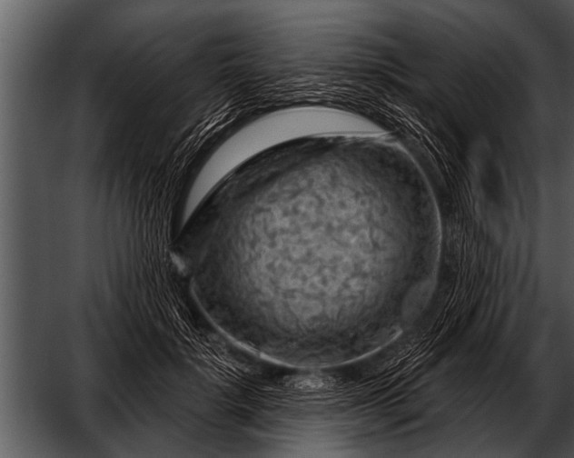 X0000052640652200507160158