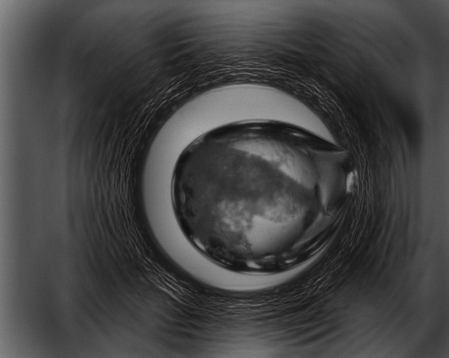 X0000052640653200507160158