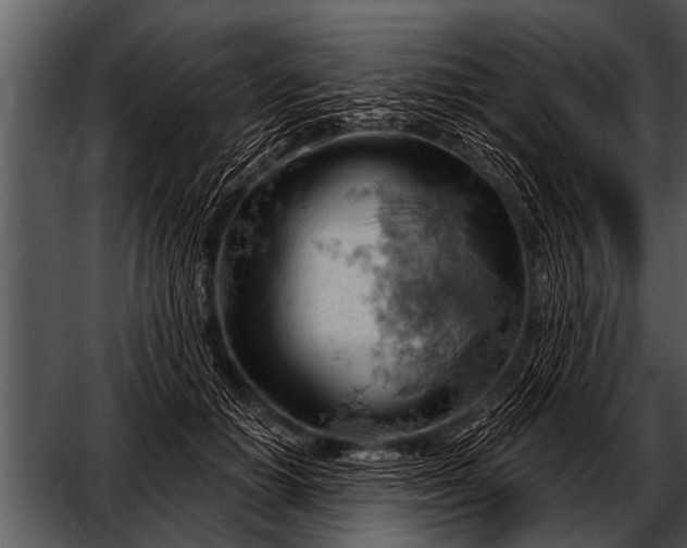 X0000052640654200507160158