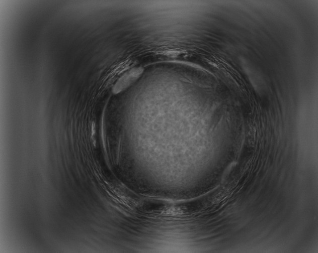 X0000052640656200507160158