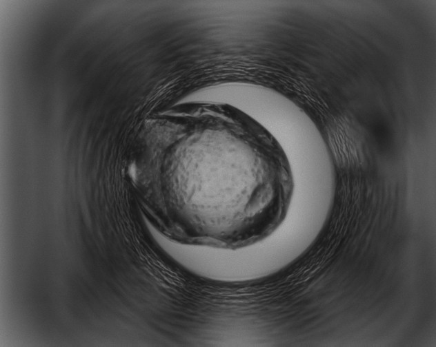 X0000052640657200507160158