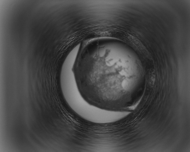 X0000052640658200507160158