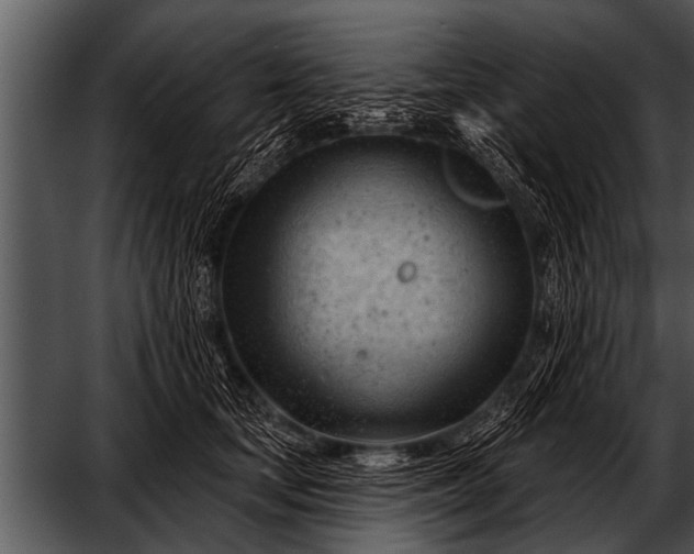 X0000052640659200507160158