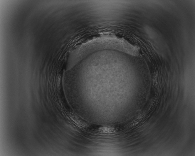 X0000052640660200507160158