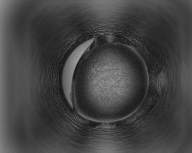 X0000052640661200507160158