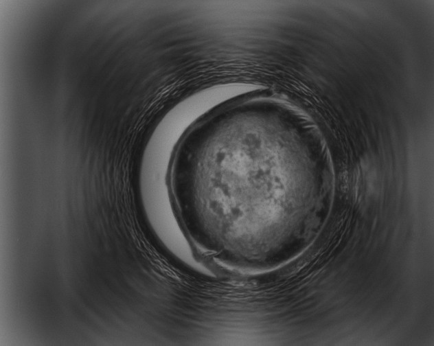 X0000052640662200507160158