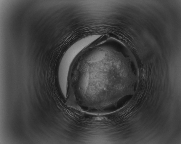 X0000052640663200507160158