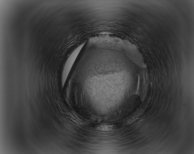 X0000052640664200507160158